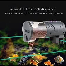 Aquarium Fish Mini Fish In 2020 Aquarium Fish Aquarium Fish Food Fish Feeder