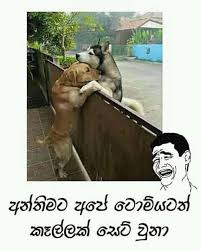 Sinhala animal joke video download. Facebook