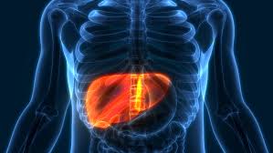 Organs under the right rib cage. Five Liver Damage Warning Signs