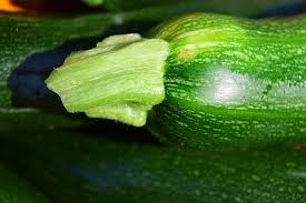 Check spelling or type a new query. Zucchini Pilmifresh Quality Innovation