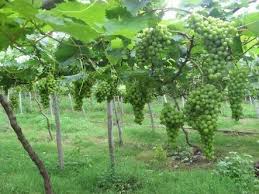 We did not find results for: Kegiatan Ekonomi Di Indonesia Materi Kelas 5 Sd