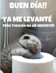 Frases Mensajes Chistosos De Buenos Dias Con Imagenes Fraseshoy Org