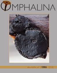 Image result for Cogniauxia podolaena