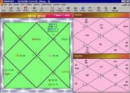 Horosoft Kundli Maker Professional Indian Astrology