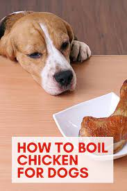 How To Boil Chicken For Dogs Chicken For Dogs Boiled Chicken Chicken Dog Treats