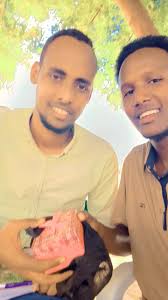 Hadiyad: Mr. Hussein Abdullahi Abdi's Insight