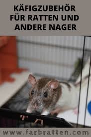 Kafigzubehor Fur Ratten Und Andere Nager Home Sweet Home Kafigzubehor Speziell Fur Ratten Napfe Tranken Hauschen Ratten Farbratten Ratte Spielzeug