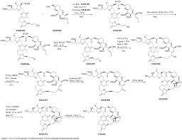 Image result for Eribulin