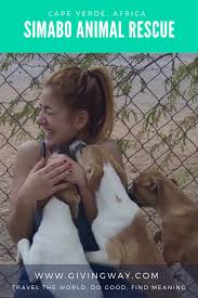 One Of The Recent Non Profit Organizations To Join Givingway Si Ma Bo Associazione Capo Verde We Love What You Do Si Animal Shelter Animal Rescue Animals