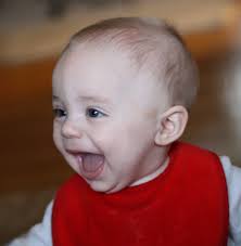 Andrew Krisiewicz Obituary