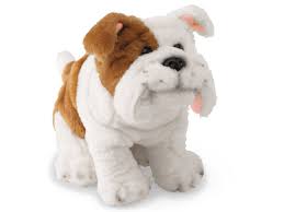 Visit petvet petfood in oakland! The Pet Vet Clinic At Lakeshore Learning