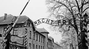 The holocaust is according to politically correct history a deliberate genocide by national socialist germany in which approximately six million jews were killed. Son Of Holocaust Survivor Observes Anniversary Of Auschwitz Liberation South Carolina Public Radio