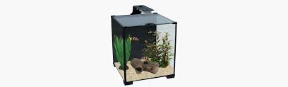Create a betta world with this stylish little 3 in 1 fish tank, purpose designed to accommodate bettas or water creatures with similar requirements, such as as long as the water parameters and temperature requirements are compatible, you can keep up to 3 different species separately in the betta trio. Best Betta Tanks Aquariums Bettaboxx