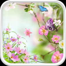 Tablou flori rosii pe fond bej. Flori Imagini De Fundal Flowers Live Wallpaper Aplicatii Android