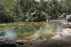 Caño cristales is a brightly and abnormally coloured river found in colombia's meta region, in south america. Cano Cristales The Colombian Way