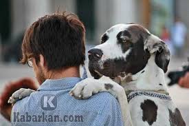 Tafsir tafsir mimpi 2d 3d 4d bergambar. Kode Alam Anjing Kawin Masuk Rumah Sesuai Deret 2d 3d 4d Erek Erek