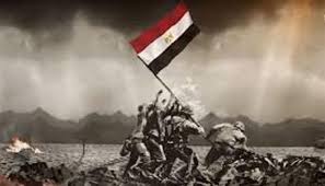 الوطن - News update