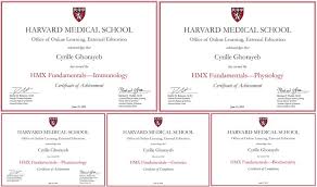 Find out why online learning is beneficial to you and help you learn more effectively. Tillmann Schlegel Thayngen Schaffhausen Switzerland Professional Profile Linkedin