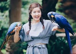 ผลการค้นหารูปภาพสำหรับ สาวเกาหลี