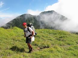 Kanlaon is a slice of heaven. Mt Kanlaon Adventure Trekking On An Active Volcano Planet Action Adventure Tour Services Moalboal Cebu Philippines