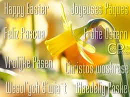 Ostern glückwünsche, wünsche zu ostern. Coolphotos De Osterkarten Seite 5