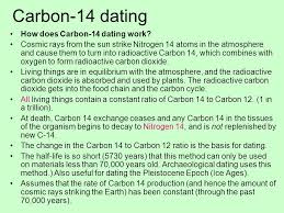 Specifically, there are two types of carbon found in organic materials: Sedimentary Rocks And Their Depositional Environments Ppt Video Online Download