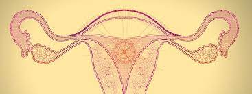 It is not a complete look at all risks. Ovarian Cancer Quiz Emedicinehealth