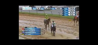 Profile for Timothy Salzman Racing Stables