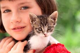 Can a cat overdose on dewormer. The Cat Deworming Info You Need To Avoid This Potentially Fatal Condition