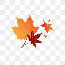 Autumn Red Maple Leaf Floating Falling Material Maple Leaf Clipart Hand Painted Red Maple Png Transparent Clipart Image And Psd File For Free Download In 2021 Maple Leaf Drawing Leaf Drawing