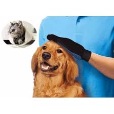 Kedi Kopek Tuy Toplayici Gittigidiyor