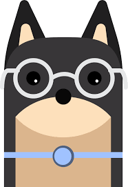 Tamar and staff make certain all boarded dogs receive the love, attention. Everydog Force Free Dog Training In Los Angeles And Orange County