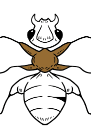 Free printable ants coloring pages. Ant Coloring Page Print And Online Free