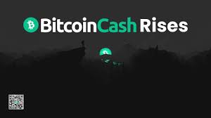 In this bitcoin cash price prediction, we look at what we can expect from the bch this year. Bitcoin Cash Rises Bitcoincash
