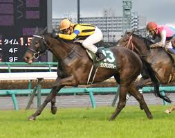 中山牝馬ステークス2018中山競馬場 芝1800m予想ｵｯｽﾞ 出走予定馬想定騎手 厩舎 血統（父馬）前走着順3.3エテルナミノル池添 本田 ｴﾝﾊﾟｲｱﾒｰｶｰ 愛知杯13.9マキシマムドパリ松元 ｷﾝｸﾞｶﾒﾊﾒﾊ愛知杯34.2トーセンビクトリー福永 … Xpm4yidvv25f8m