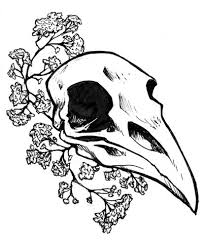 Tumblr Drawings Raven Skull Google Search Skull Drawing Animal Skull Drawing Skull Art