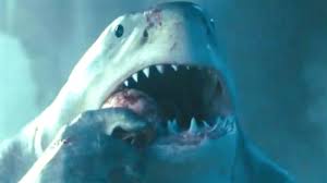 In the beginning, it was left ambiguous king shark began as simply a member of superboy's cast of villains, but when superboy's series came to an end, the character's use for a rogues gallery did as. Lkpvldzvajxodm