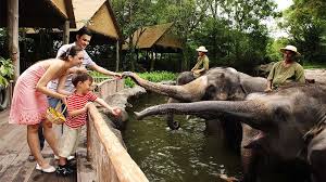 The Singapore Zoo World S Best Zoos Travelchannel Com Singapore Zoo Animals Zoo