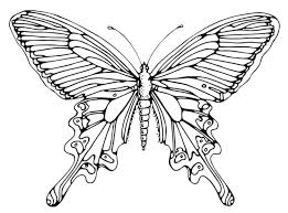 Schmetterling Basteln Schmetterlinge Aus Filz Papier Und Druckvorlagen In 2020 Butterfly Line Art Clip Art Vintage Outline Drawings