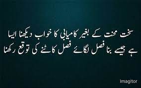 Pin On Hazrat Ali Sayings