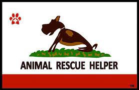 Check spelling or type a new query. Save A Pet Forsyth Ga Home Facebook