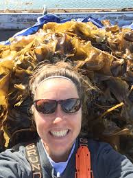 North Haven Lobsterman Tries Kelp Farming For Winter Income