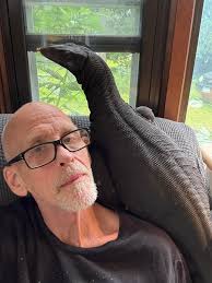 Hey folks, can't believe we gained almost 20,000 new followers in three  days. Wanted to note that if every new person commented only once, you do  the math, it would be impossible