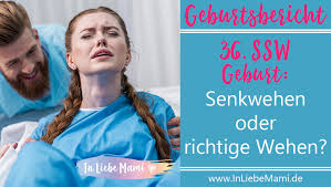 Der bauch sinkt nun sichtlich nach unten und das baby rutscht ins becken. Geburtsbericht 36 Ssw Geburt Senkwehen Oder Richtige Wehen Seite 3 Von 4