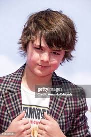 378 How To Train Your Dragon 2 Los Angeles Premiere Arrivals Stock Photos,  High-Res Pictures, and Images