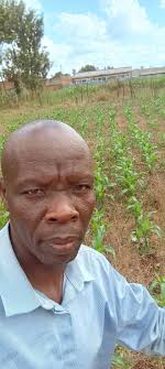 Broadcasting seed into an existing plot and using a cultipacker to pack it  down may damage or kill existing plants