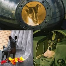 🌌 67 years ago, Laika was sent into space. Today, I feel a duty to  commemorate her. Not out of nostalgia, not out of mere scientific  curiosity—but out of respect, and for