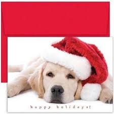 We did not find results for: Cat And Dog Christmas Card Ideas