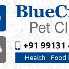 Beyond first rate pet care, we make our clinic comfortable and inviting so your pet can relax in the waiting room and look forward to meeting our paterson we are happy to offer a number of resources that enable you to learn about how to take better care of your pets. Bluecross Pet Clinic Satellite Veterinary Doctors In Ahmedabad Justdial