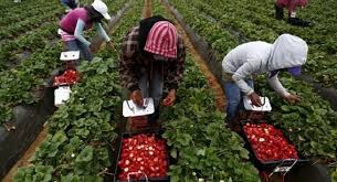 Pentru asta cautam pe cineva care: Locuri De MuncÄƒ Disponibile Pentru Romani In È›Äƒrile Ue Er News